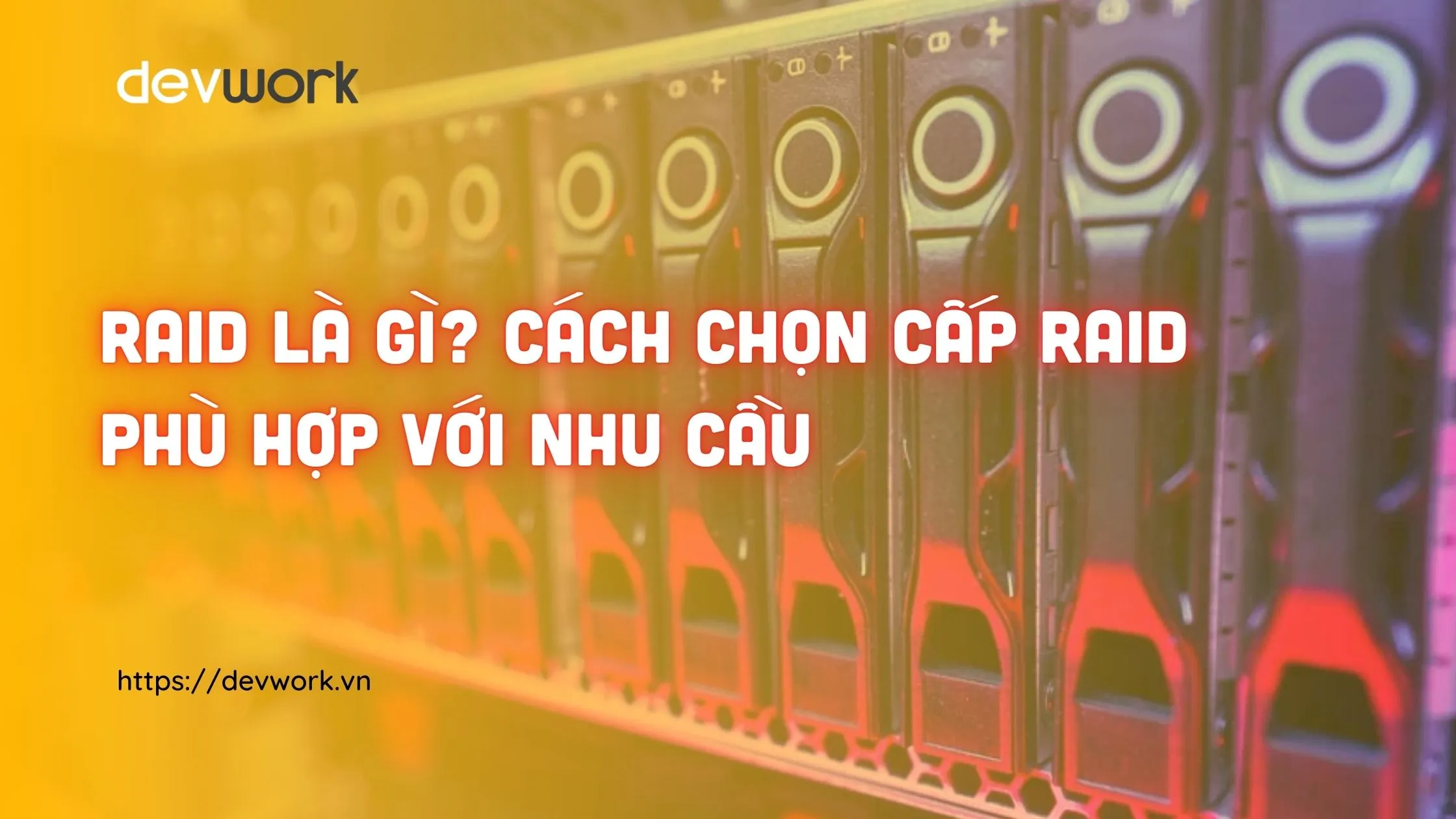 raid-la-gi-cach-chon-cap-raid-phu-hop
